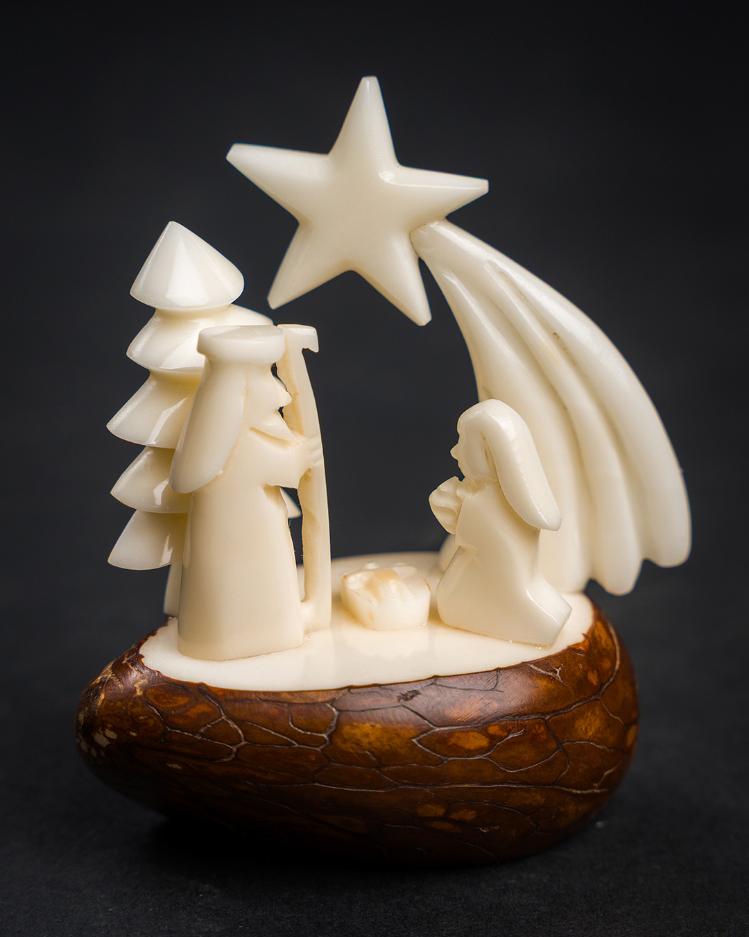 Nacimiento en base de Tagua